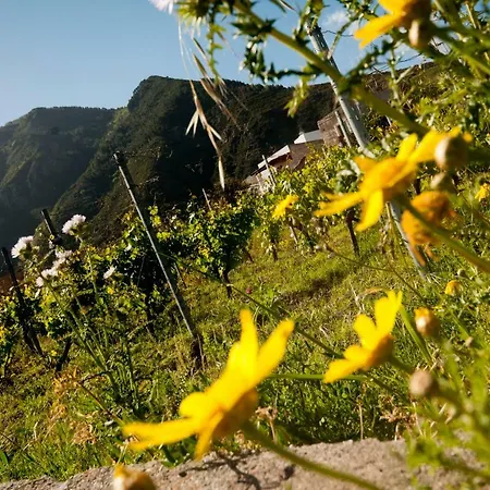 Dell'avvocato